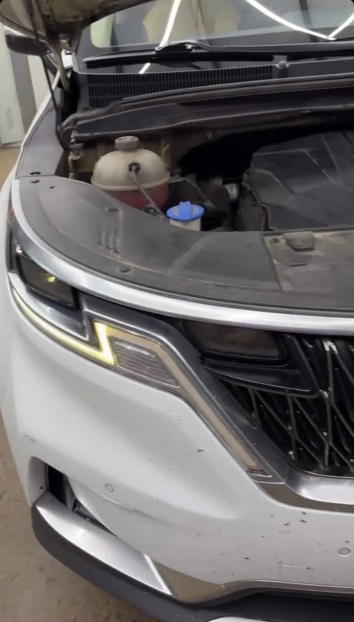 Kia Carnival: отремонтировали дхо